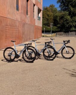 On voit triple 👀 @pinarello_official Dogma F Luxter Venice 🩵